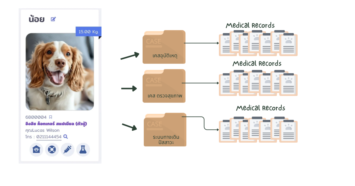 ภาพหน้าจอแสดงประวัติสัตว์เลี้ยงใน VetPresso พร้อมข้อมูลเคสและประวัติการรักษา