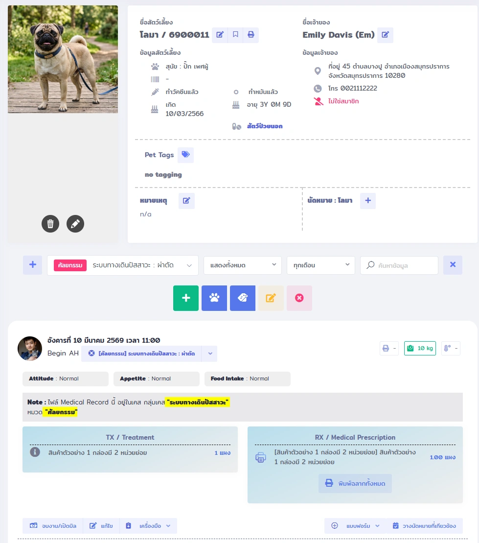 หน้าจอ VetPresso แสดงประวัติการรักษาสัตว์ ข้อมูลสุนัขพันธุ์ปั๊ก เจ้าของ การรักษา และใบสั่งยา