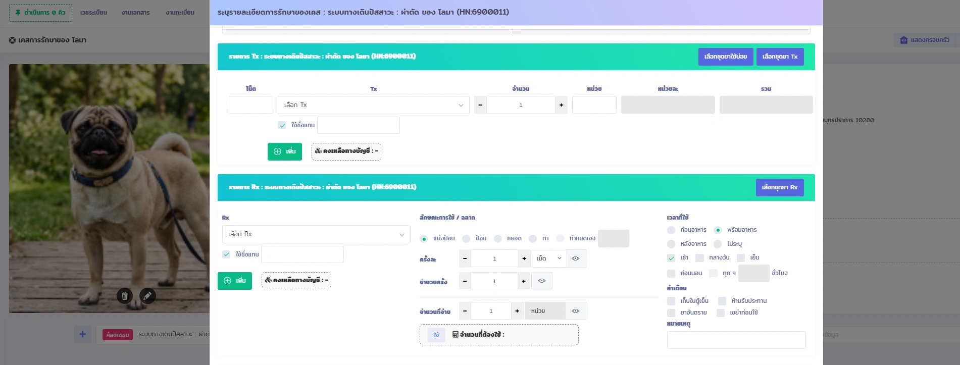 หน้าจอ VetPresso แสดงการบันทึกรายการรักษา (Tx) และจ่ายยา (Rx) สำหรับสัตว์เลี้ยง พร้อมรูปสุนัขพันธุ์ปั๊ก